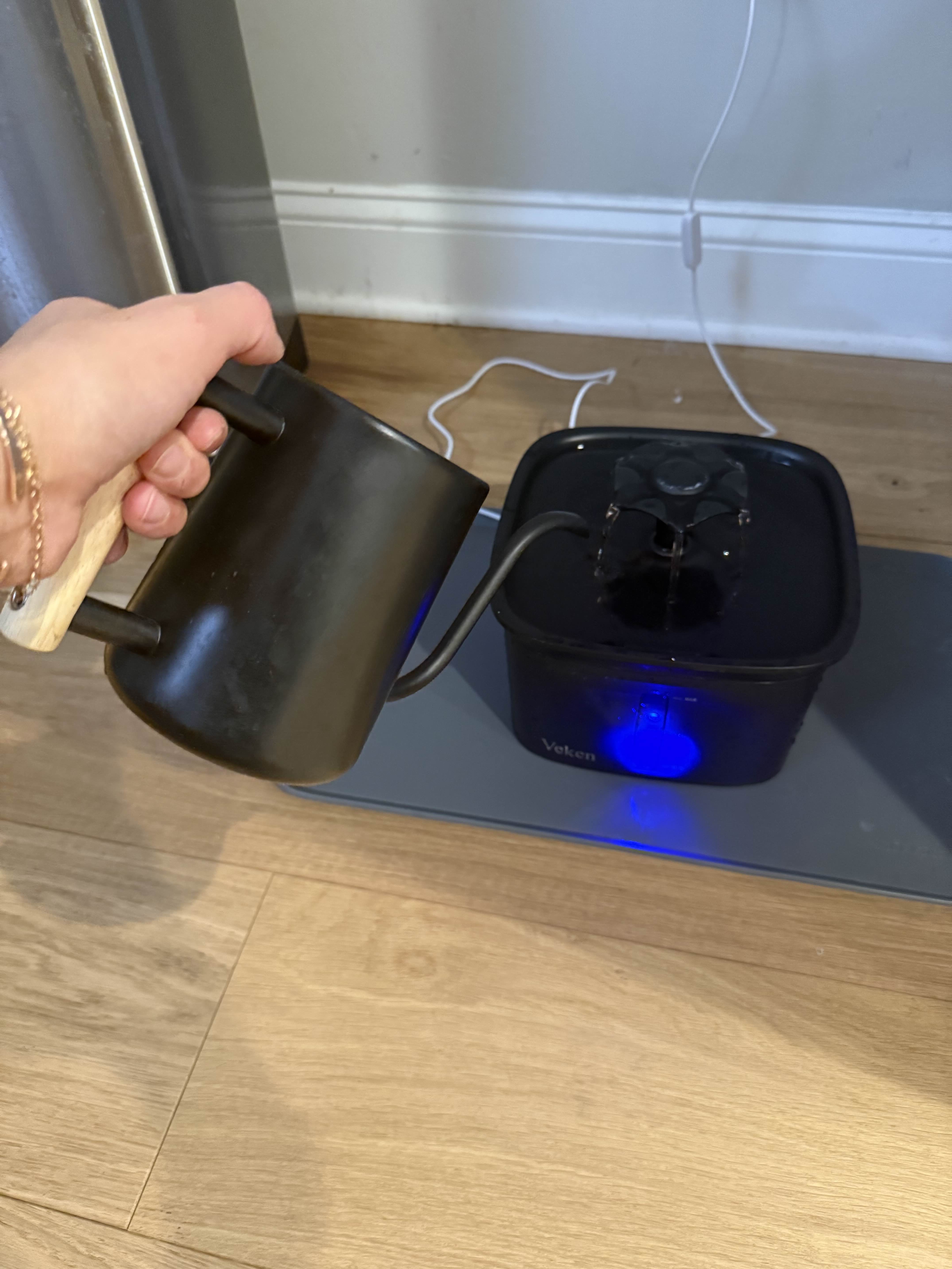 watering can pouring water into Salad's water bowl